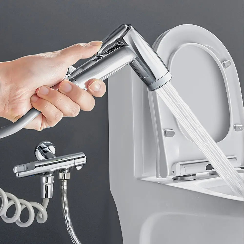 Stainless Steel Bathroom Self Cleaning Hand Sprayer Bidet Shower Toilet Bidet Sprayer Hand Bidet Faucet Shower Head